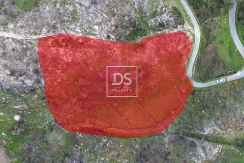 Helårsgrund i Ancede e Ribadouro, Porto, Ancede e Ribadouro - € 55.000 | Ref: DSPMCANAV25 - foto 1