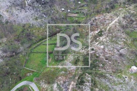 Helårsgrund i Ancede e Ribadouro, Porto, Ancede e Ribadouro - € 55.000 | Ref: DSPMCANAV25 - foto 4