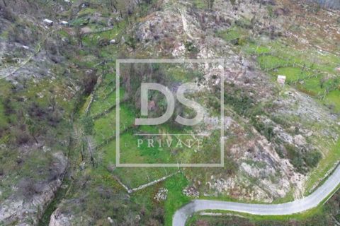 Helårsgrund i Ancede e Ribadouro, Porto, Ancede e Ribadouro - € 55.000 | Ref: DSPMCANAV25 - foto 5