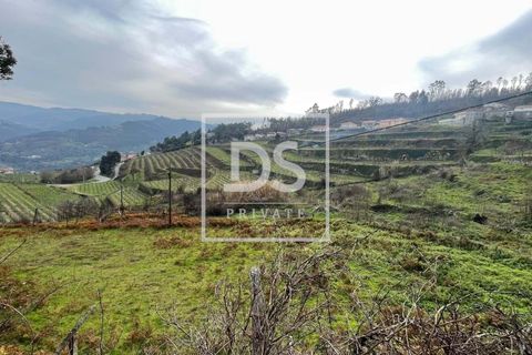 Helårsgrund i Ancede e Ribadouro, Porto, Ancede e Ribadouro - € 25.000 | Ref: DSPMCANAV26 - foto 5