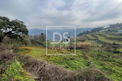 Helårsgrund i Ancede e Ribadouro, Porto, Ancede e Ribadouro - € 25.000 | Ref: DSPMCANAV26 - foto 4