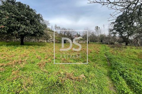 Helårsgrund i Ancede e Ribadouro, Porto, Ancede e Ribadouro - € 25.000 | Ref: DSPMCANAV26 - foto 6