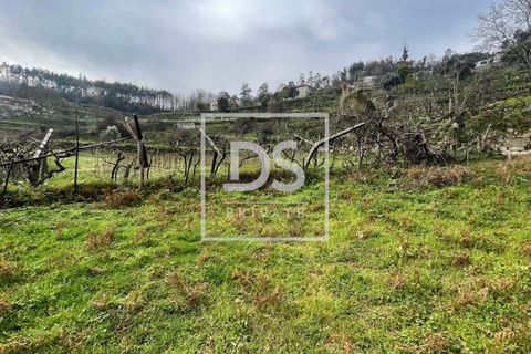 Helårsgrund i Ancede e Ribadouro, Porto, Ancede e Ribadouro - € 25.000 | Ref: DSPMCANAV26 - foto 8