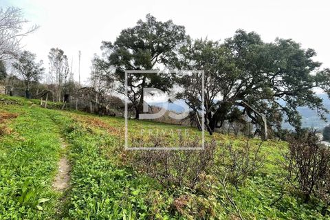 Helårsgrund i Ancede e Ribadouro, Porto, Ancede e Ribadouro - € 25.000 | Ref: DSPMCANAV26 - foto 9