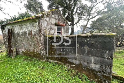Helårsgrund i Ancede e Ribadouro, Porto, Ancede e Ribadouro - € 25.000 | Ref: DSPMCANAV26 - foto 3