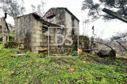 Helårsgrund i Ancede e Ribadouro, Porto, Ancede e Ribadouro - € 25.000 | Ref: DSPMCANAV26 - foto 1