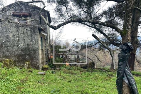 Helårsgrund i Ancede e Ribadouro, Porto, Ancede e Ribadouro - € 25.000 | Ref: DSPMCANAV26 - foto 2