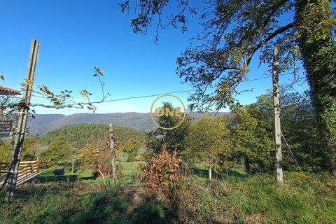 Landejendom i Terras de Bouro, Braga, Terras de Bouro - € 105.000 | Ref: ONE141671-5 - foto 32