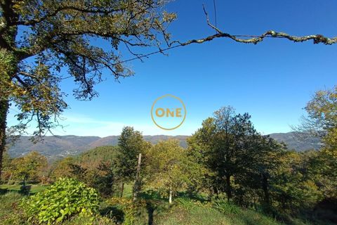 Landejendom i Terras de Bouro, Braga, Terras de Bouro - € 105.000 | Ref: ONE141671-5 - foto 33
