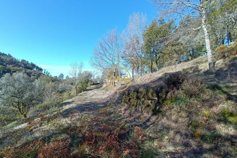 Tomt i Terras de Bouro, Braga, Terras de Bouro - € 31 500 | Ref: ONE141671-4 - foto 5