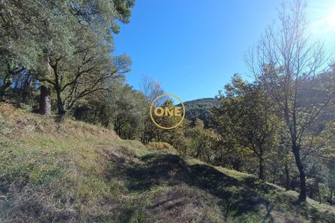 Tomt i Terras de Bouro, Braga, Terras de Bouro - € 31 500 | Ref: ONE141671-4 - foto 6