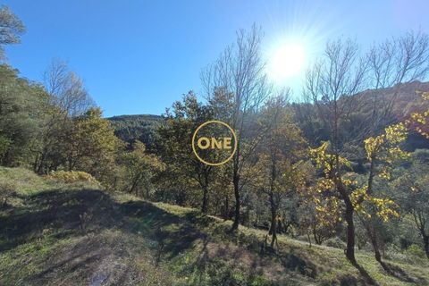 Tomt i Terras de Bouro, Braga, Terras de Bouro - € 31 500 | Ref: ONE141671-4 - foto 7