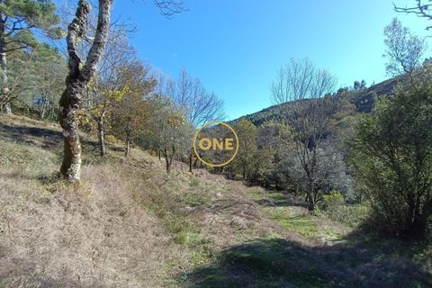 Tomt i Terras de Bouro, Braga, Terras de Bouro - € 31 500 | Ref: ONE141671-4 - foto 9