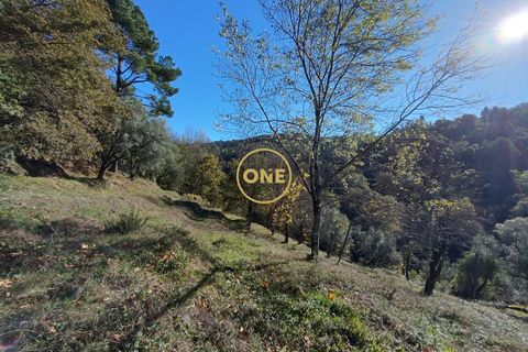 Tomt i Terras de Bouro, Braga, Terras de Bouro - € 31 500 | Ref: ONE141671-4 - foto 10