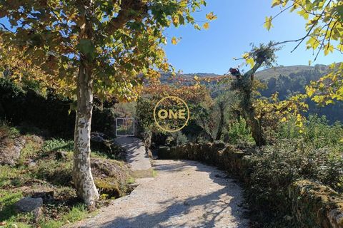 Tomt i Terras de Bouro, Braga, Terras de Bouro - € 31 500 | Ref: ONE141671-4 - foto 13
