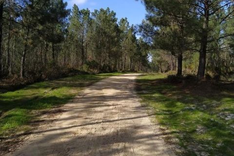 Helårsgrund i Corroios, Setubal, Corroios - € 700.000 | Ref: KWPT-013958 - foto 10