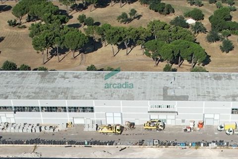 L'establiment comercial a Modugno, Bari, Modugno - € 2.800.000 | Ref: 12001/2025 - foto 2