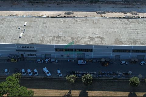 L'establiment comercial a Modugno, Bari, Modugno - € 2.800.000 | Ref: 12001/2025 - foto 3