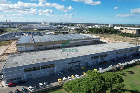 L'establiment comercial a Modugno, Bari, Modugno - € 2.800.000 | Ref: 12001/2025 - foto 4