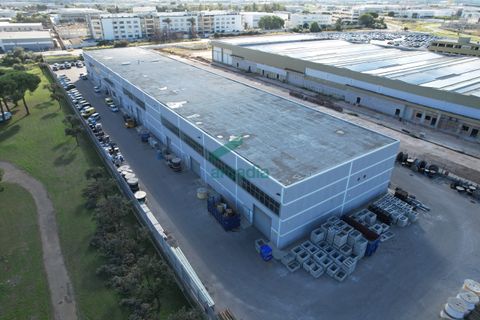 L'establiment comercial a Modugno, Bari, Modugno - € 2.800.000 | Ref: 12001/2025 - foto 5