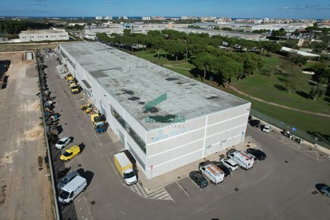 L'establiment comercial a Modugno, Bari, Modugno - € 2.800.000 | Ref: 12001/2025 - foto 7