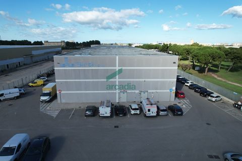 L'establiment comercial a Modugno, Bari, Modugno - € 2.800.000 | Ref: 12001/2025 - foto 8