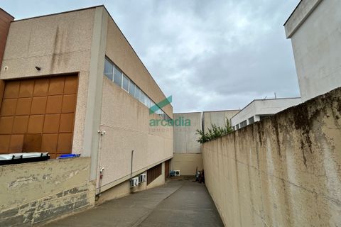 Erhvervsejendom i Modugno, Bari, Modugno - € 520.000 | Ref: 12005/2025 - foto 2