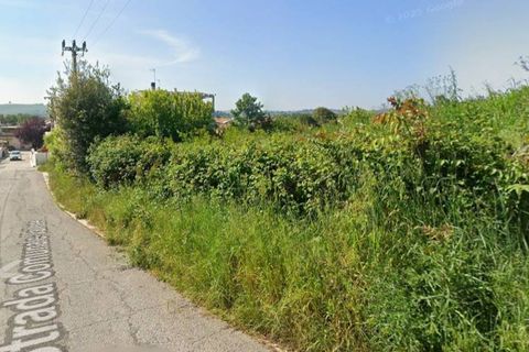 Terra a Senigallia, Ancona, Senigallia - € 78.000 | Ref: 25_24t - foto 2