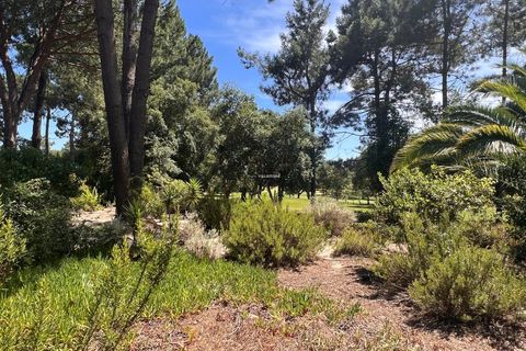 Villa i Quinta do Conde, Setubal, Quinta do Conde - € 1.900.000 | Ref: CAS_37 - foto 44