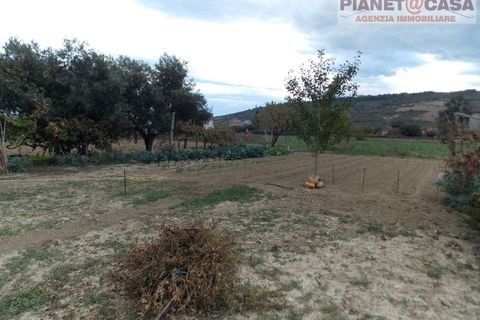 Helårsgrund i Monteprandone, Ascoli Piceno, Monteprandone - € 69.000 | Ref: VS2752 - foto 4