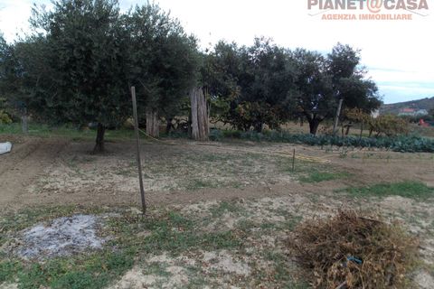 Helårsgrund i Monteprandone, Ascoli Piceno, Monteprandone - € 69.000 | Ref: VS2752 - foto 5
