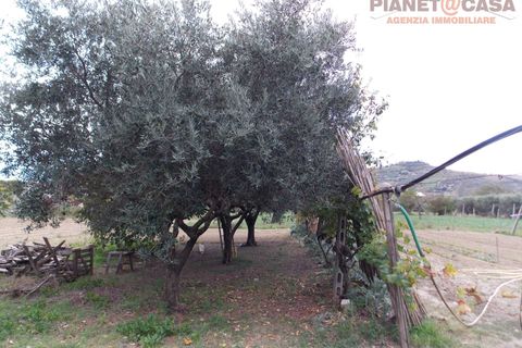 Helårsgrund i Monteprandone, Ascoli Piceno, Monteprandone - € 69.000 | Ref: VS2752 - foto 7