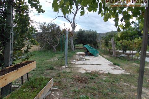 Helårsgrund i Monteprandone, Ascoli Piceno, Monteprandone - € 69.000 | Ref: VS2752 - foto 9