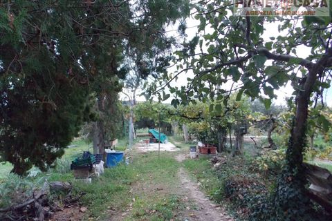 Helårsgrund i Monteprandone, Ascoli Piceno, Monteprandone - € 69.000 | Ref: VS2752 - foto 10