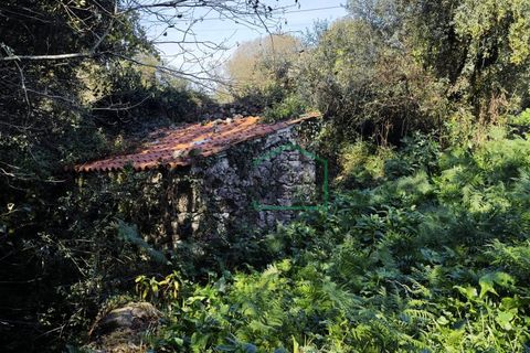 Ruinere i Caminha, Viana do Castelo, Caminha - € 51.500 | Ref: 2182 - foto 1