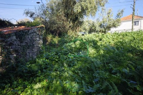 Ruinere i Caminha, Viana do Castelo, Caminha - € 51.500 | Ref: 2182 - foto 2