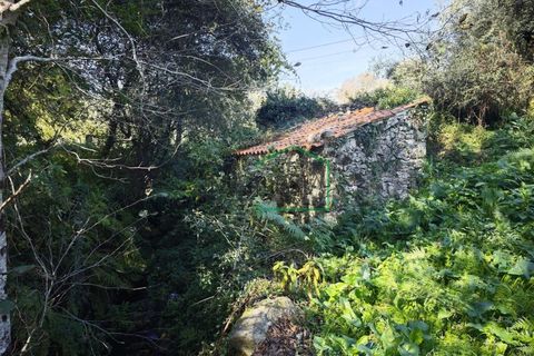 Ruinere i Caminha, Viana do Castelo, Caminha - € 51.500 | Ref: 2182 - foto 3
