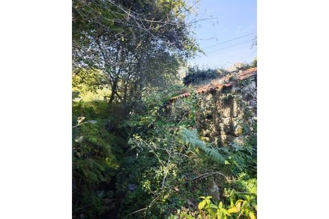 Ruinere i Caminha, Viana do Castelo, Caminha - € 51.500 | Ref: 2182 - foto 4