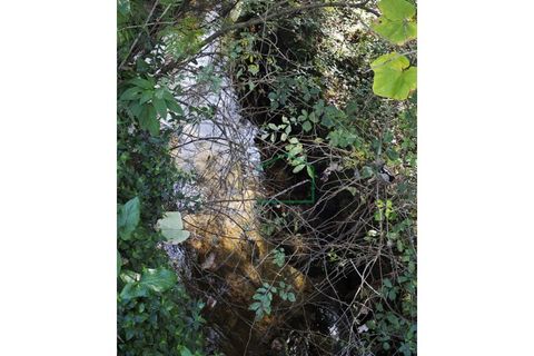 Ruinere i Caminha, Viana do Castelo, Caminha - € 51.500 | Ref: 2182 - foto 5
