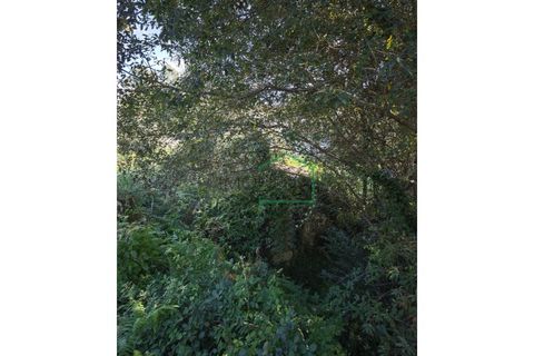 Ruinere i Caminha, Viana do Castelo, Caminha - € 51.500 | Ref: 2182 - foto 6