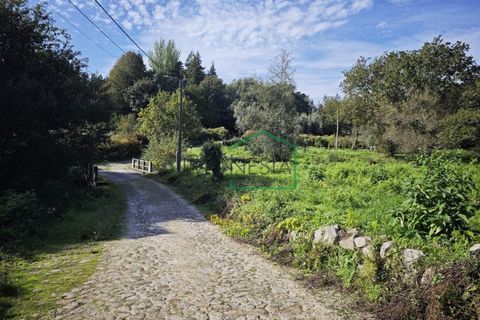 Ruinere i Caminha, Viana do Castelo, Caminha - € 51.500 | Ref: 2182 - foto 8
