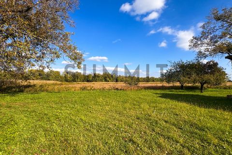Landejendom i Malo, Vicenza, Malo - € 218.000 | Ref: DS4035 - foto 8