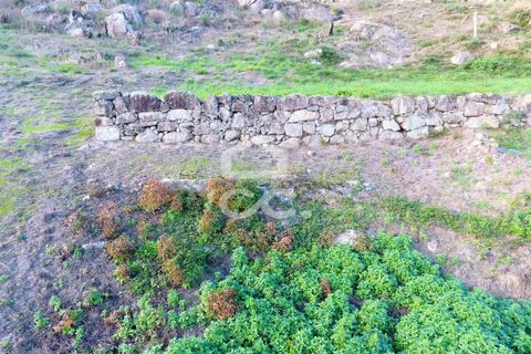 Helårsgrund i Paredes, Porto, Paredes - € 150.000 | Ref: 365/T/03234 - foto 2
