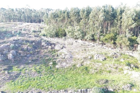 Helårsgrund i Paredes, Porto, Paredes - € 150.000 | Ref: 365/T/03234 - foto 5