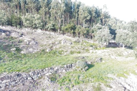 Helårsgrund i Paredes, Porto, Paredes - € 150.000 | Ref: 365/T/03234 - foto 7