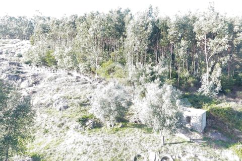 Helårsgrund i Paredes, Porto, Paredes - € 150.000 | Ref: 365/T/03234 - foto 8