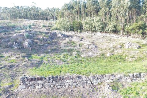 Helårsgrund i Paredes, Porto, Paredes - € 150.000 | Ref: 365/T/03234 - foto 9