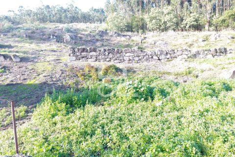 Helårsgrund i Paredes, Porto, Paredes - € 150.000 | Ref: 365/T/03234 - foto 11