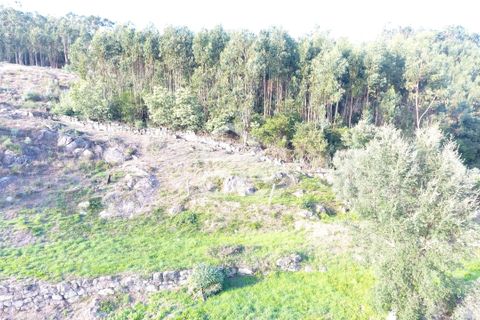 Helårsgrund i Paredes, Porto, Paredes - € 150.000 | Ref: 365/T/03234 - foto 13