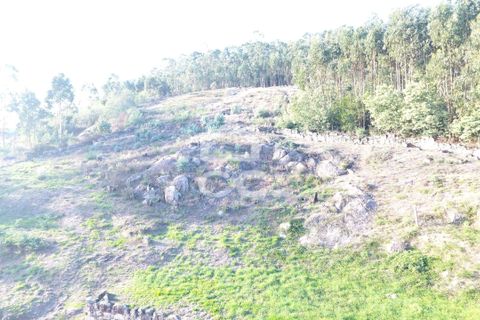 Helårsgrund i Paredes, Porto, Paredes - € 150.000 | Ref: 365/T/03234 - foto 14